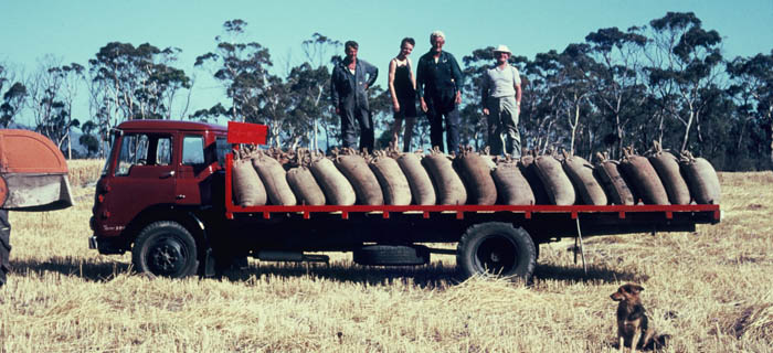 tasmania east coast Excavating / Earthmoving business